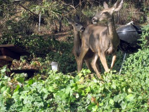 img_1123